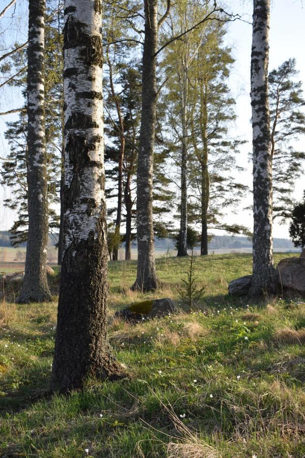 Villa Skogsbacka Расеборг Екстер'єр фото